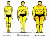 Идеальный вес и рост человека
