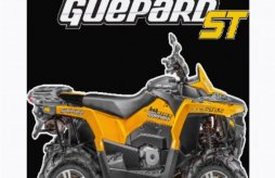 Квадроцикл STELS ATV 650Guepard Trophy