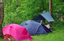 Особенности выбора палатки